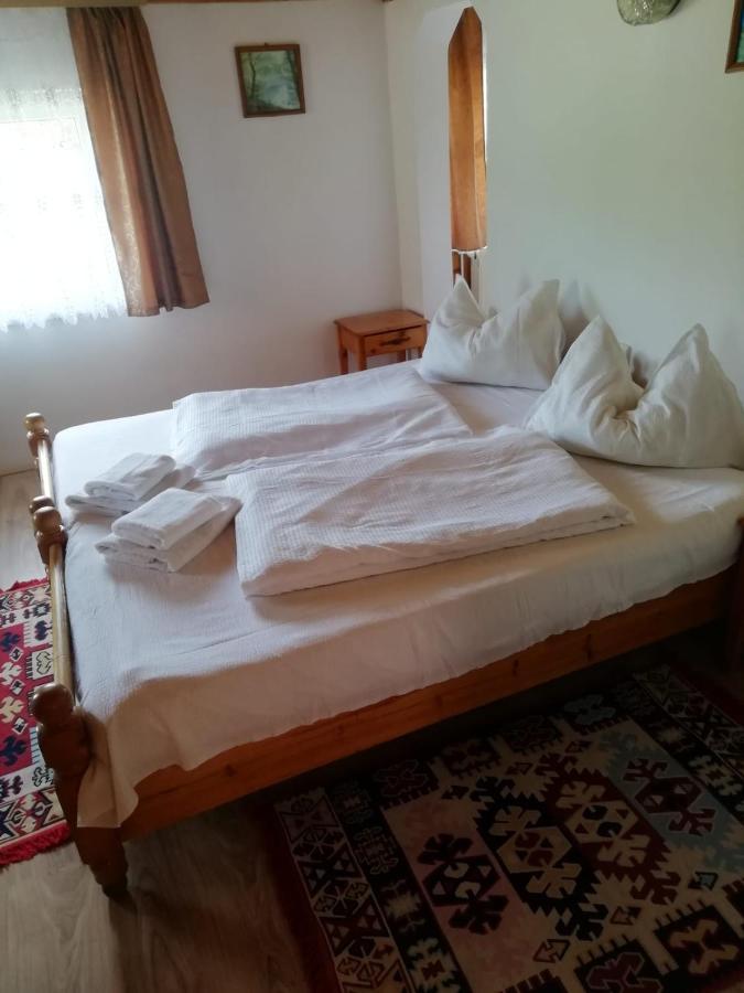 Vila Ovi Hotel Bran  Eksteriør billede